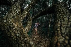 BIB: 
                            <button type="button" onclick="openModal(25692473)" class="btn btn-primary btn-sm float-right btn-popup" data-toggle="modal" data-target=".modal-high-quality">
                        <i class="fas fa-shopping-cart"></i> Add to Cart
                    </button>
                                            <button type="button" onclick="isThisMe(25692473, true)" class="btn btn-success btn-sm float-right btn-popup btn-isme hidden" data-toggle="tooltip" data-placement="bottom" title="นี่คือรูปของคุณใช่ไหม คลิกที่นี่เพื่อเอาเข้าอัลบั้ม">
                        <i class="fas fa-plus"></i> Add to album
                    </button>
                    <button type="button" onclick="isThisMe(25692473, false)" class="btn btn-warning btn-sm float-right btn-popup btn-isnotme hidden">
                        <i class="fas fa-ban"></i> Remove from album
                    </button>